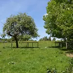 Family In 费瑞雷斯