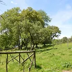 Family In 度假居 *