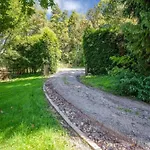 Family In 费瑞雷斯