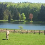 Family In