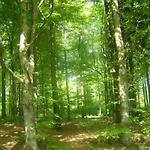 Family In 度假居 *