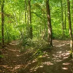 Family In 度假居 *