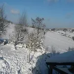 度假居 Family In *