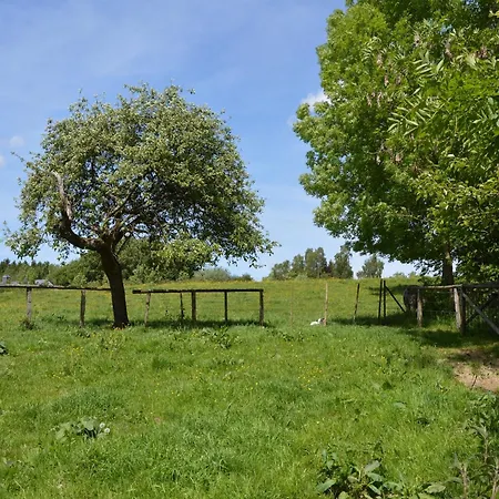 Family In Ferrieres Grimonster