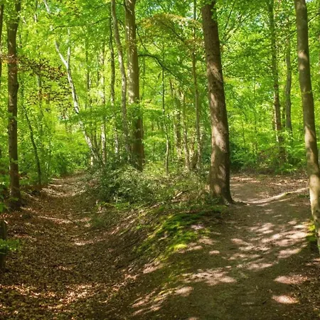 Family In Ferrieres Holiday home *